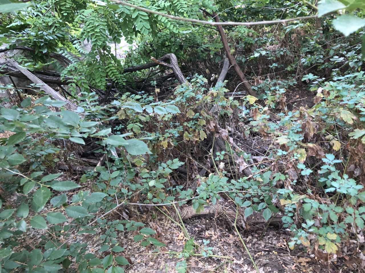 Памятник Славы и трущобы. Шокирующий вид дворов возле известного монумента.