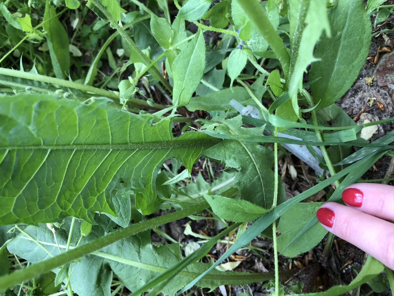 Памятник Славы и трущобы: шокирующий вид дворов возле известного монумента. Новости Днепра