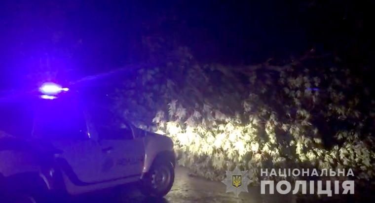 Разрушительная непогода: в «разгребании» последствий участвовала полиция. Новости Днепра