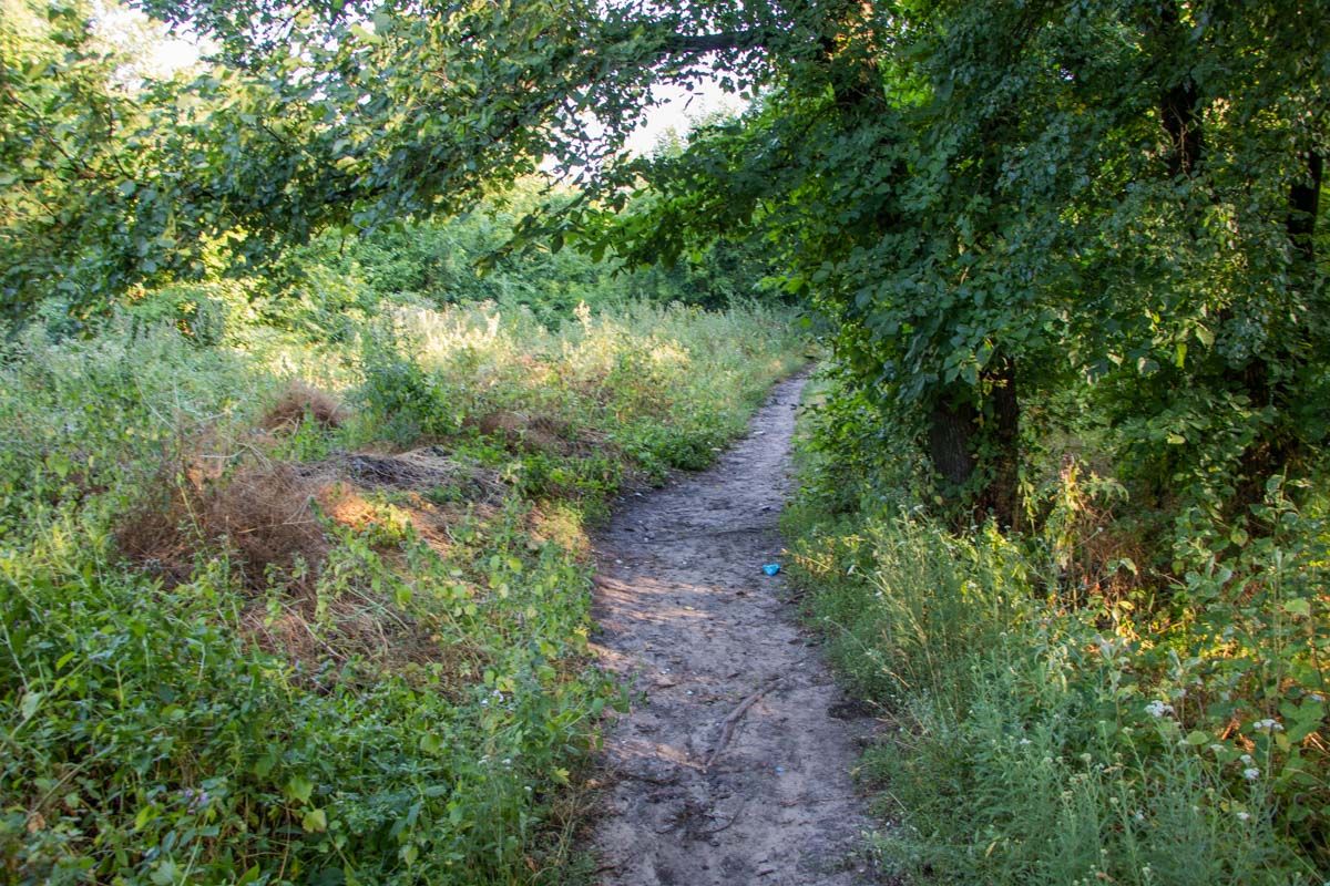 Пропавшего мужчину нашли повешенным. Новости Днепра