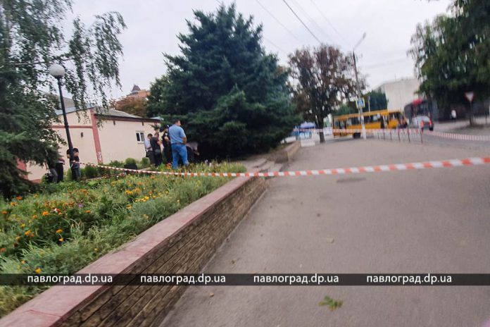 В центре города под деревом нашли тело женщины: имеется версия случившегося. Новости Днепра