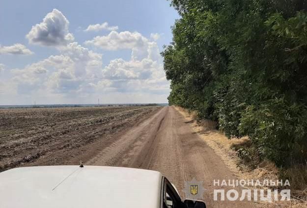 Тело пропавшей девушки найдено в лесу: задержан ее парень. Новости Днепра