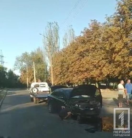 «Объезжала собаку и врезалась в столб»: спасение животного обернулось ДТП. Новости Днепр