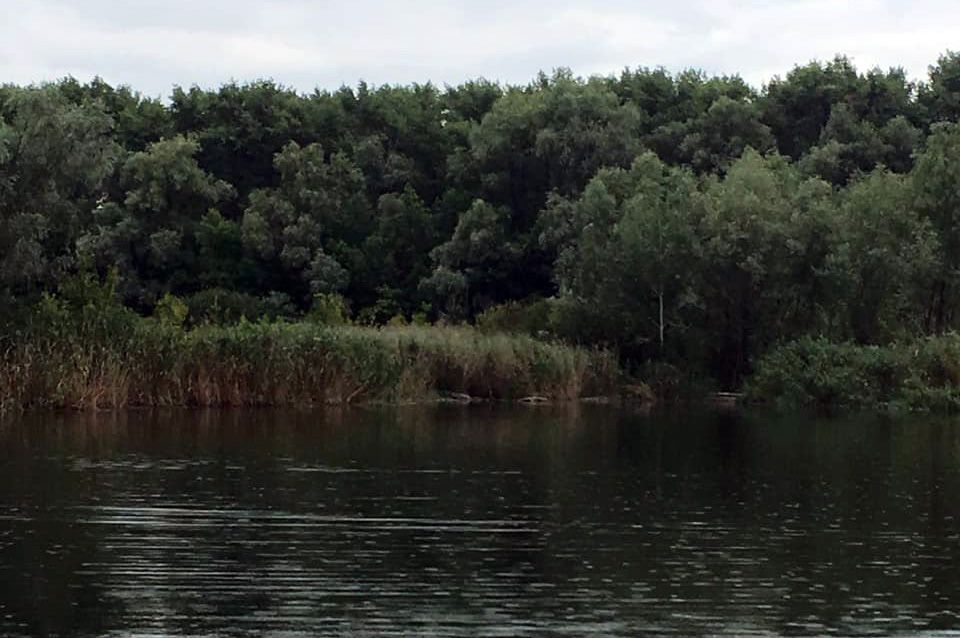 В реке обнаружен труп мужчины. Новости Днепра