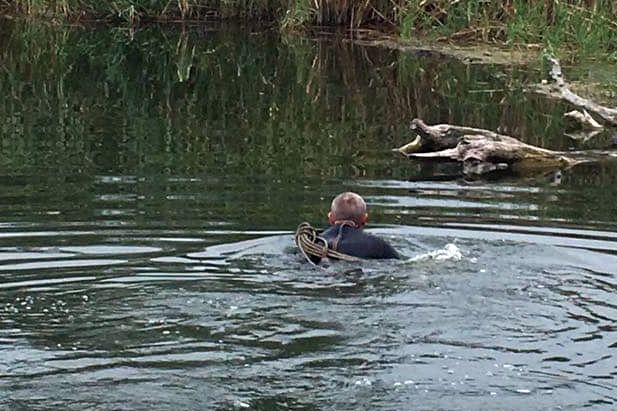 В реке обнаружен труп мужчины. Новости Днепра