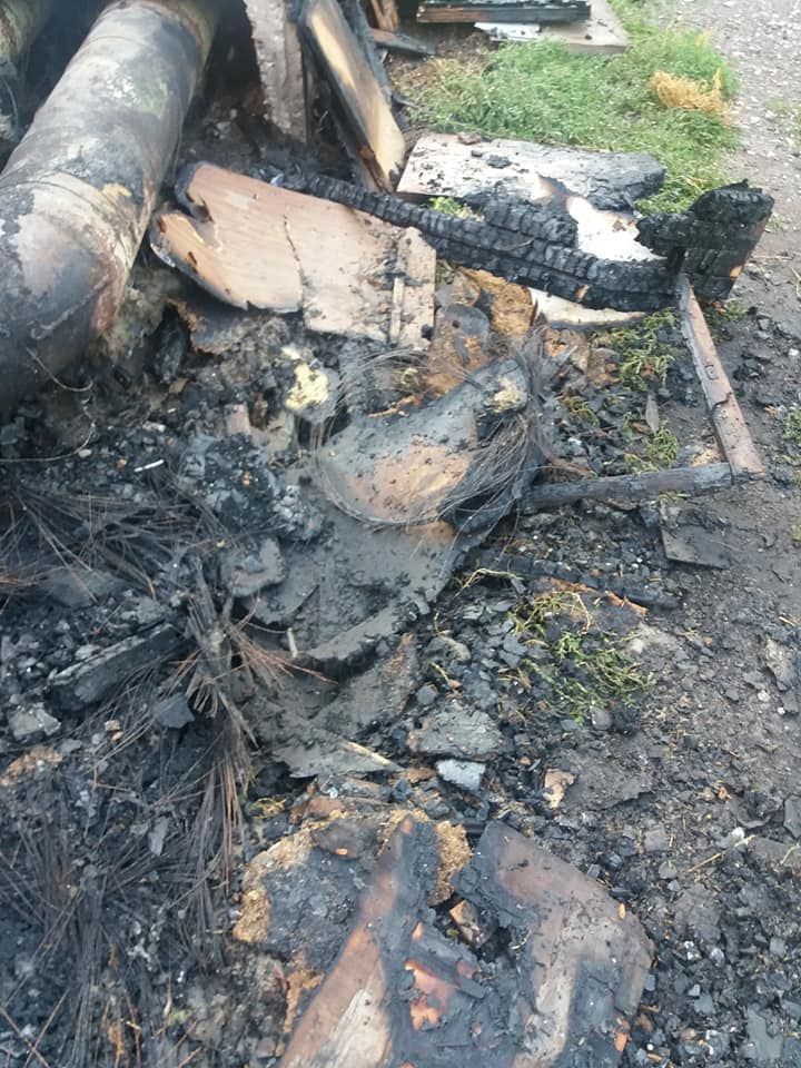 Сожгли котят заживо: шокирующие подробности издевательств над животными в Днепре. Новости Днепра