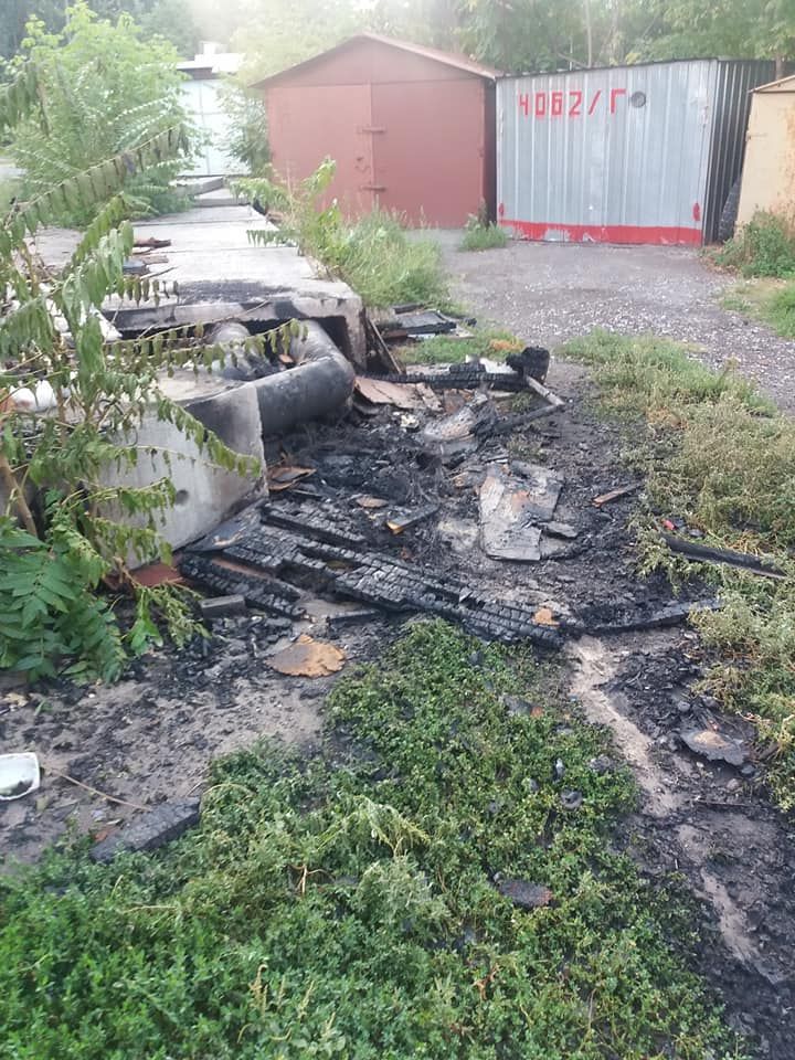 Сожгли котят заживо: шокирующие подробности издевательств над животными в Днепре. Новости Днепра