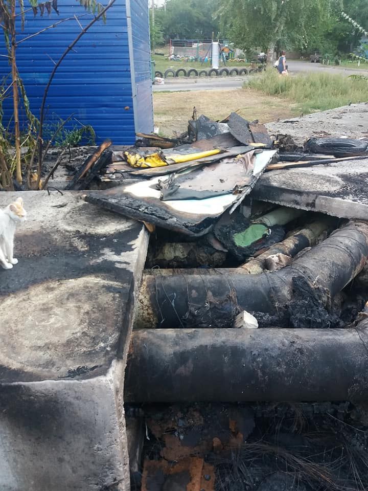 Сожгли котят заживо: шокирующие подробности издевательств над животными в Днепре. Новости Днепра