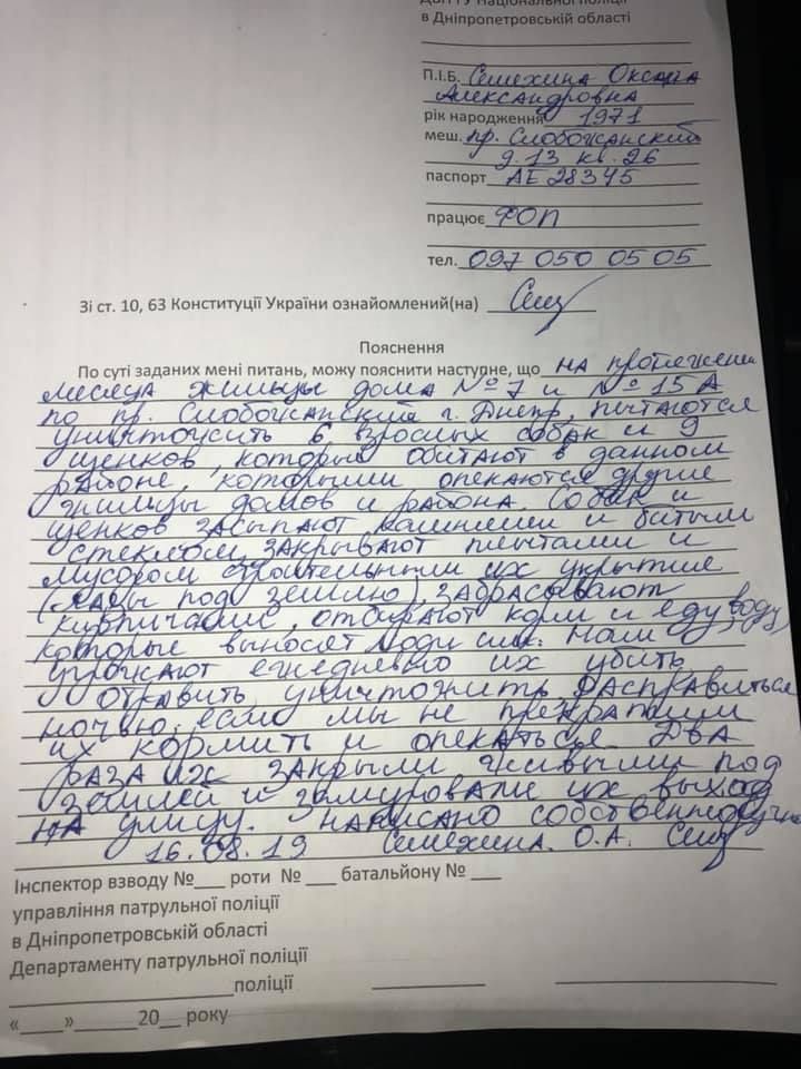 Неравная борьба: в Днепре люди засыпали нору щенков битым стеклом. Новости Днепра