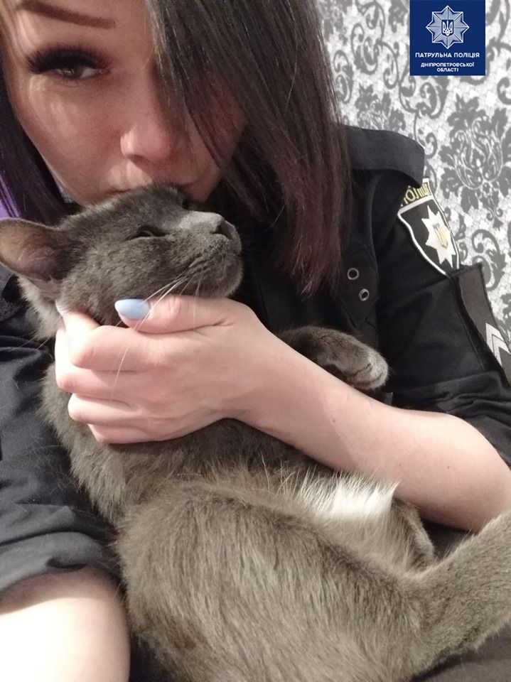 Патрульная спасла кота, которого сбили на машине и оставили умирать