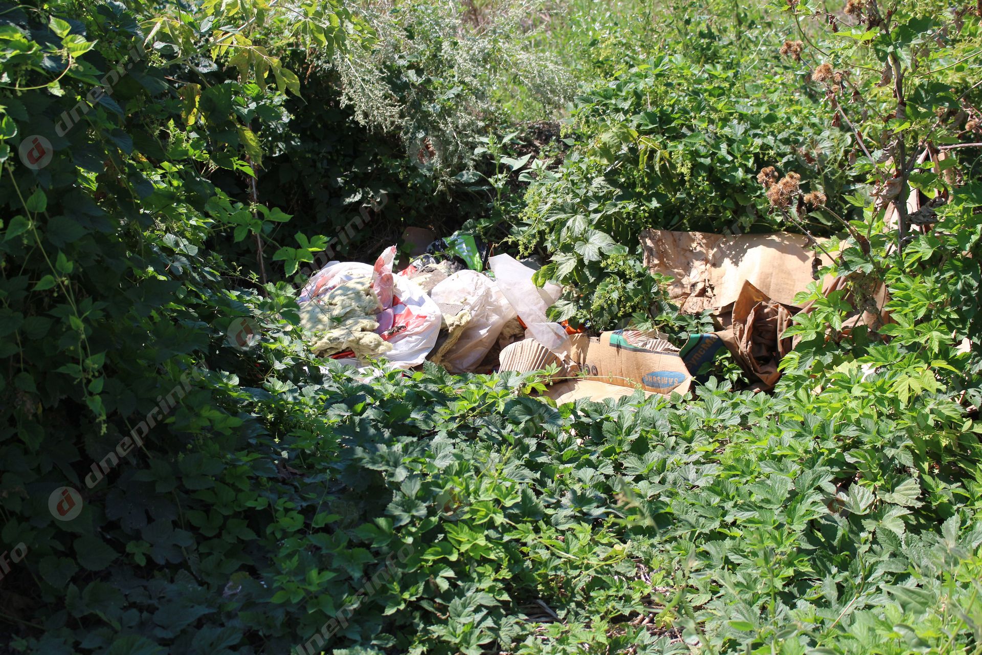 Трущобы Днепра: шприцы, свалки и постоянная опасность для детей – в каких условиях живут жители Тополя. Новости Днепра