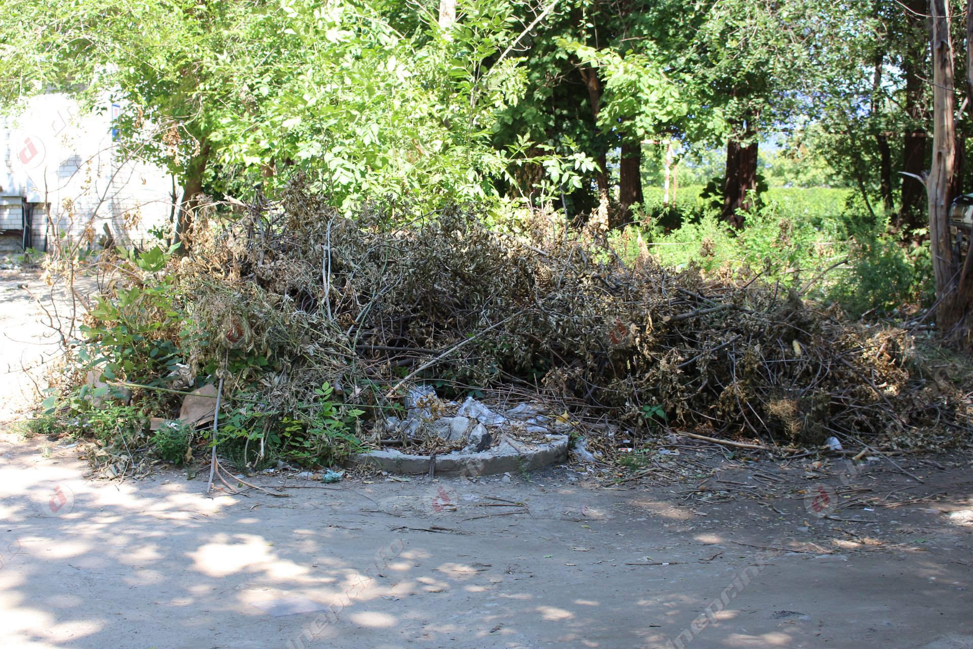 Трущобы Днепра: шприцы, свалки и постоянная опасность для детей – в каких условиях живут жители Тополя. Новости Днепра