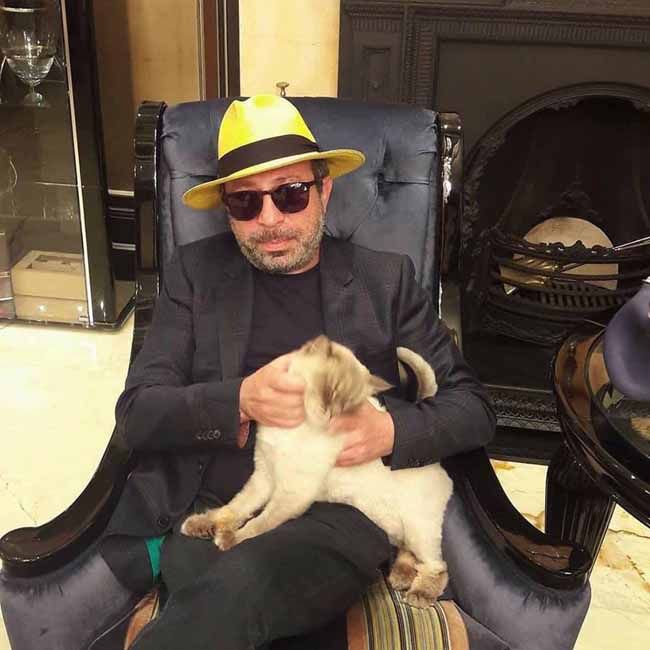 ТОП самых известных котов Днепра. Новости Днепра