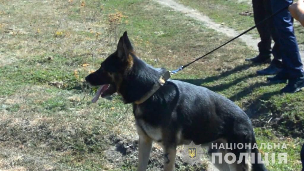 «Потому что он обзывался»: мужчина ударил ножом 12-летнего племянника. Новости Украины