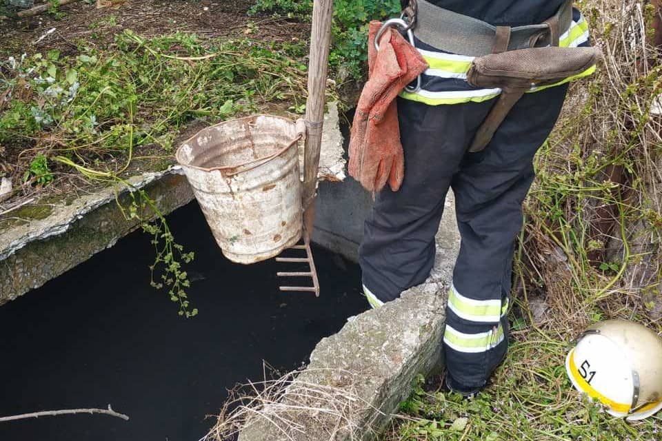 На выходные можно идти спокойно: сотрудники ГСЧС спасли двух щенков. Новости Днепра