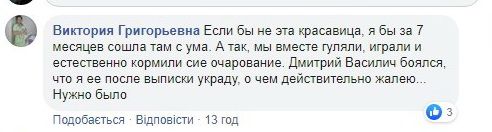 «Казалось бы, где кошки, а где роддом?»: в Днепре работает хвостатая акушерка. Новости Днепра