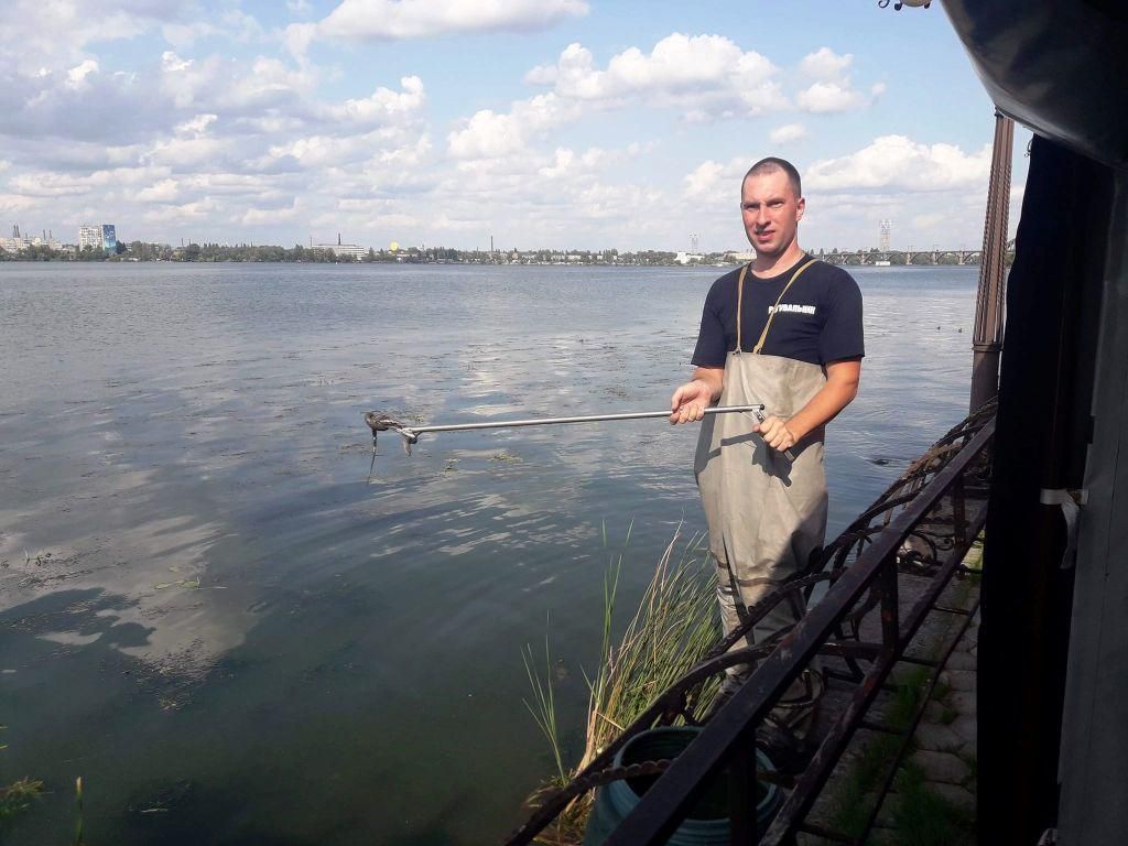 В Днепре на Набережной возле кафе вновь появились змеи. Новости Днепра