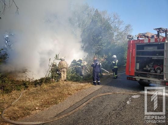 Сгорел полностью: автомобиль вспыхнул прямо во время движения. Новости Днепра