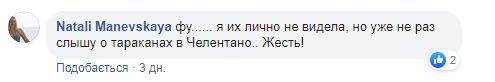 В популярном кафе Днепра посетитель чуть не проглотил таракана. Новости Днепра