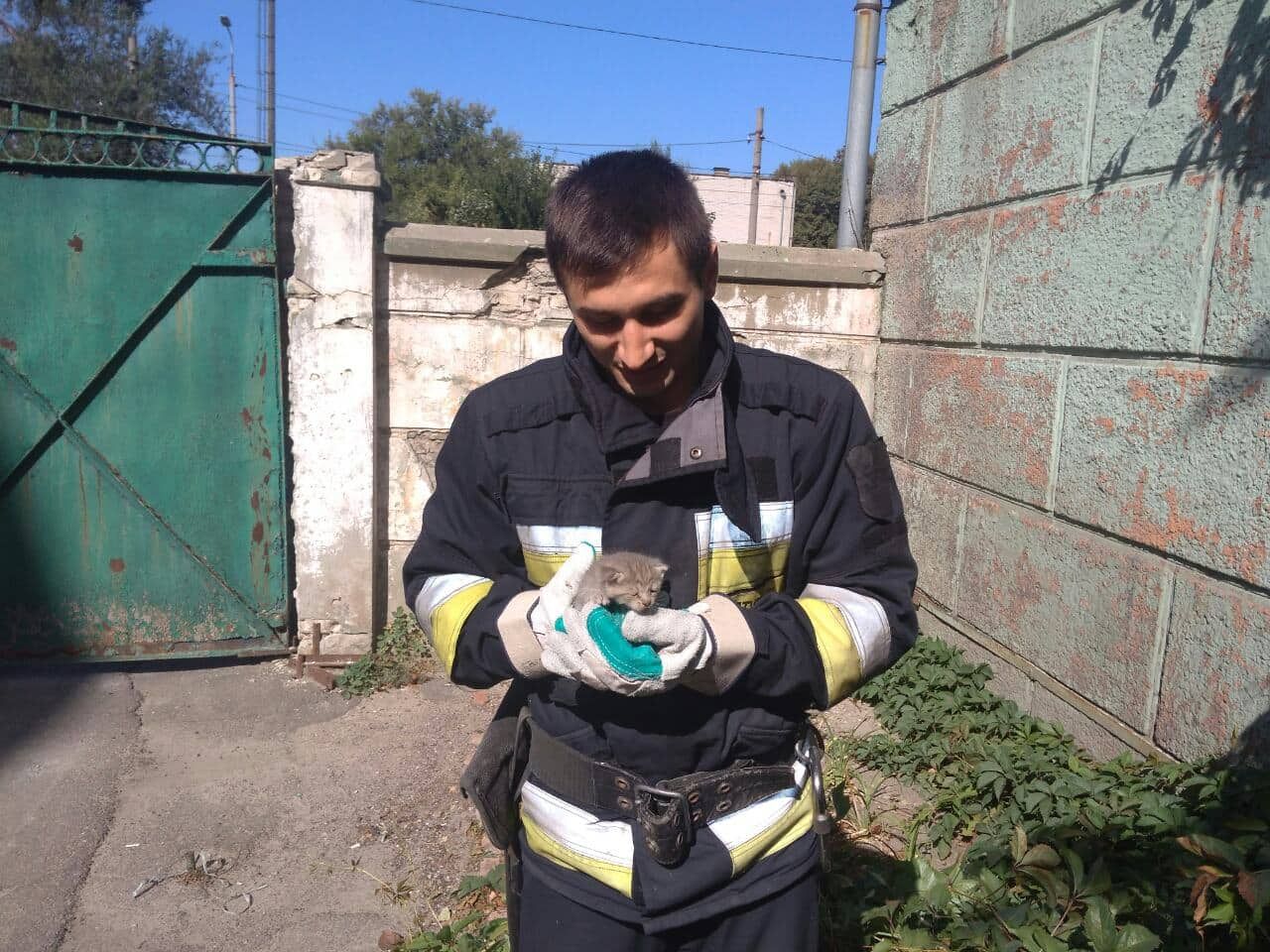 Провалился и не смог выбраться: в Днепре спасали маленького котенка. Новости Днепра