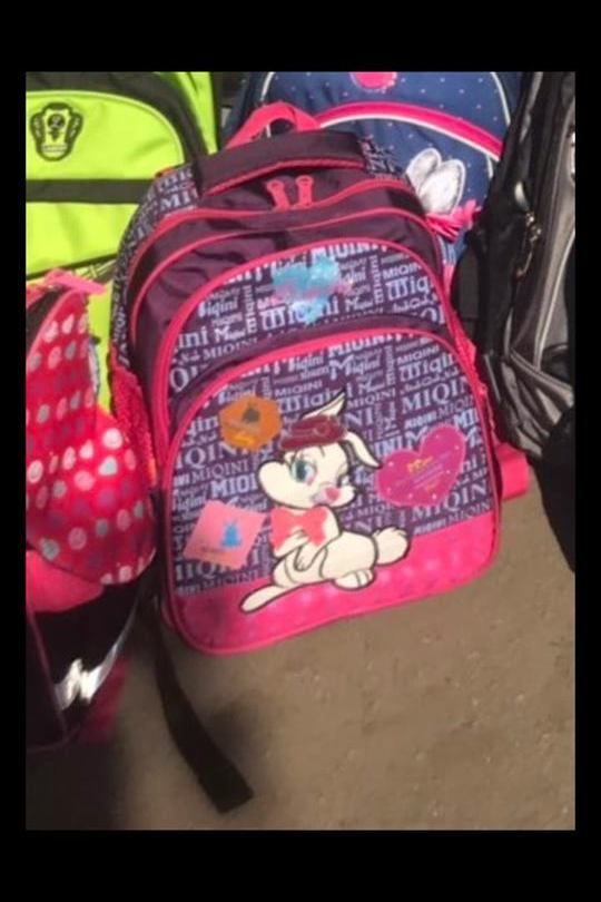 Когда красть больше нечего: воры похитили портфель первоклассницы. Новости Днепра