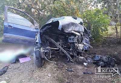 В ДТП погибли 3 человека. Новости Днепра