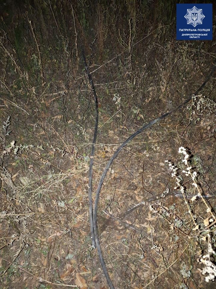 «Пытались спрятаться в подъезде»: в Днепре двух мужчин застали на горячем. Новости Днепра