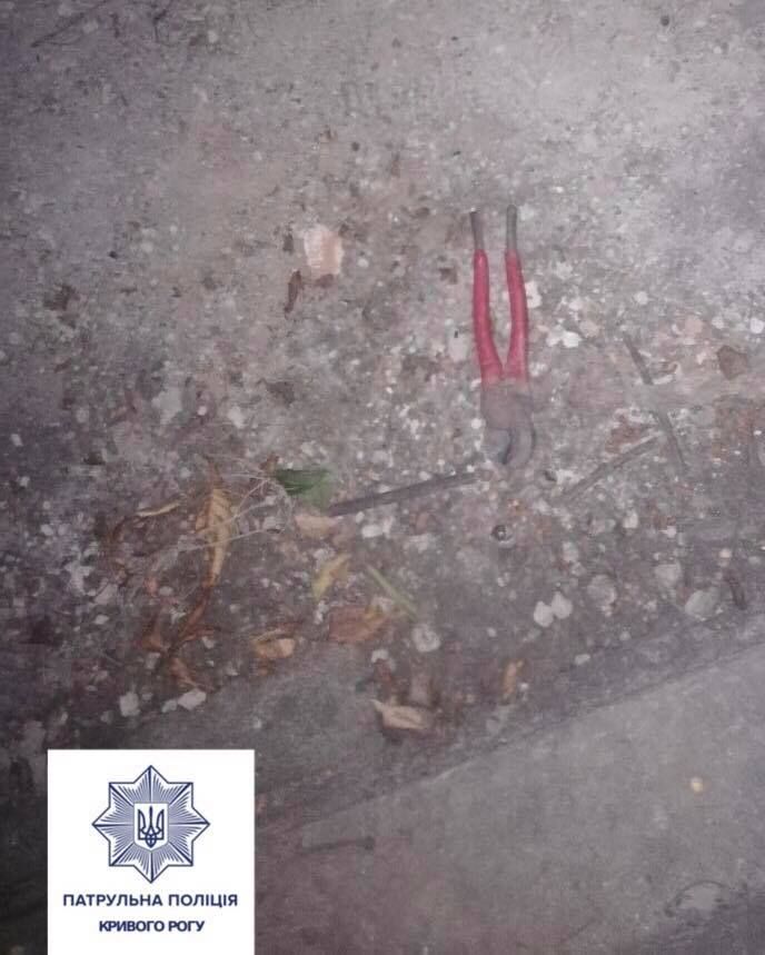 «Прятался от гусей под деревом»: чем закончилась ночная погоня за вором. Новости Днепра