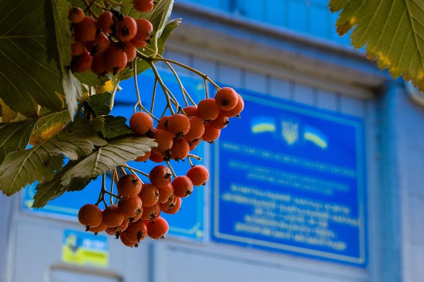 В Днепре в детсадах занялись ремонтом крыш. Новости Днепра
