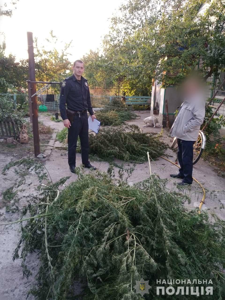 Собирал урожай на глазах у полиции: наркодилеру крупно не повезло. Новости Днепра