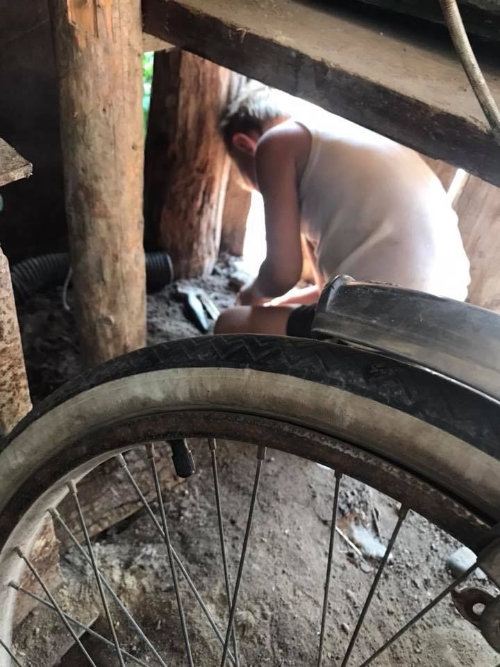 «Воет как маленький волк»: волонтеры нашли «украинского Маугли». Новости Украины