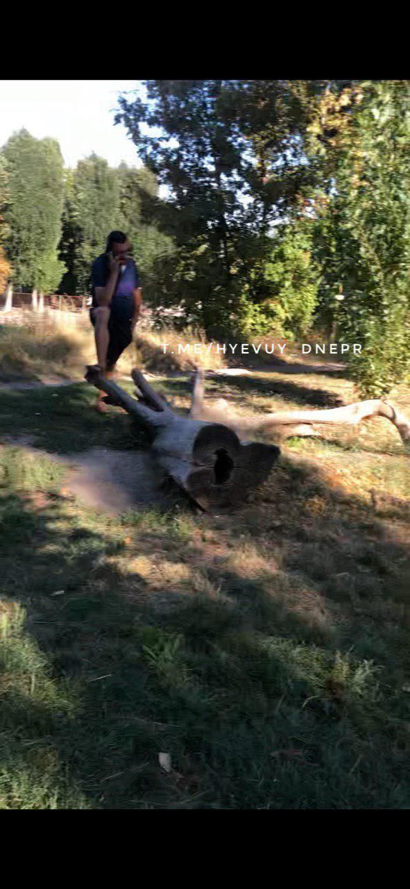 Недетские «сюрпризы» на детской площадке: днепряне выловили «закладочника», но наркоманы остались. Новости Днепра