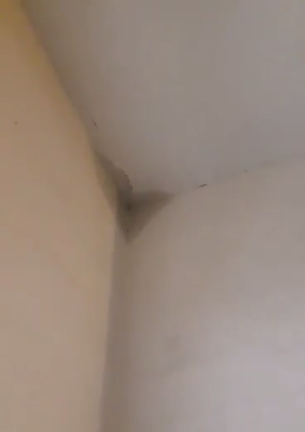 Последствия «качественного» ремонта: в Днепре подъезд залило дождем. Новости Днепра