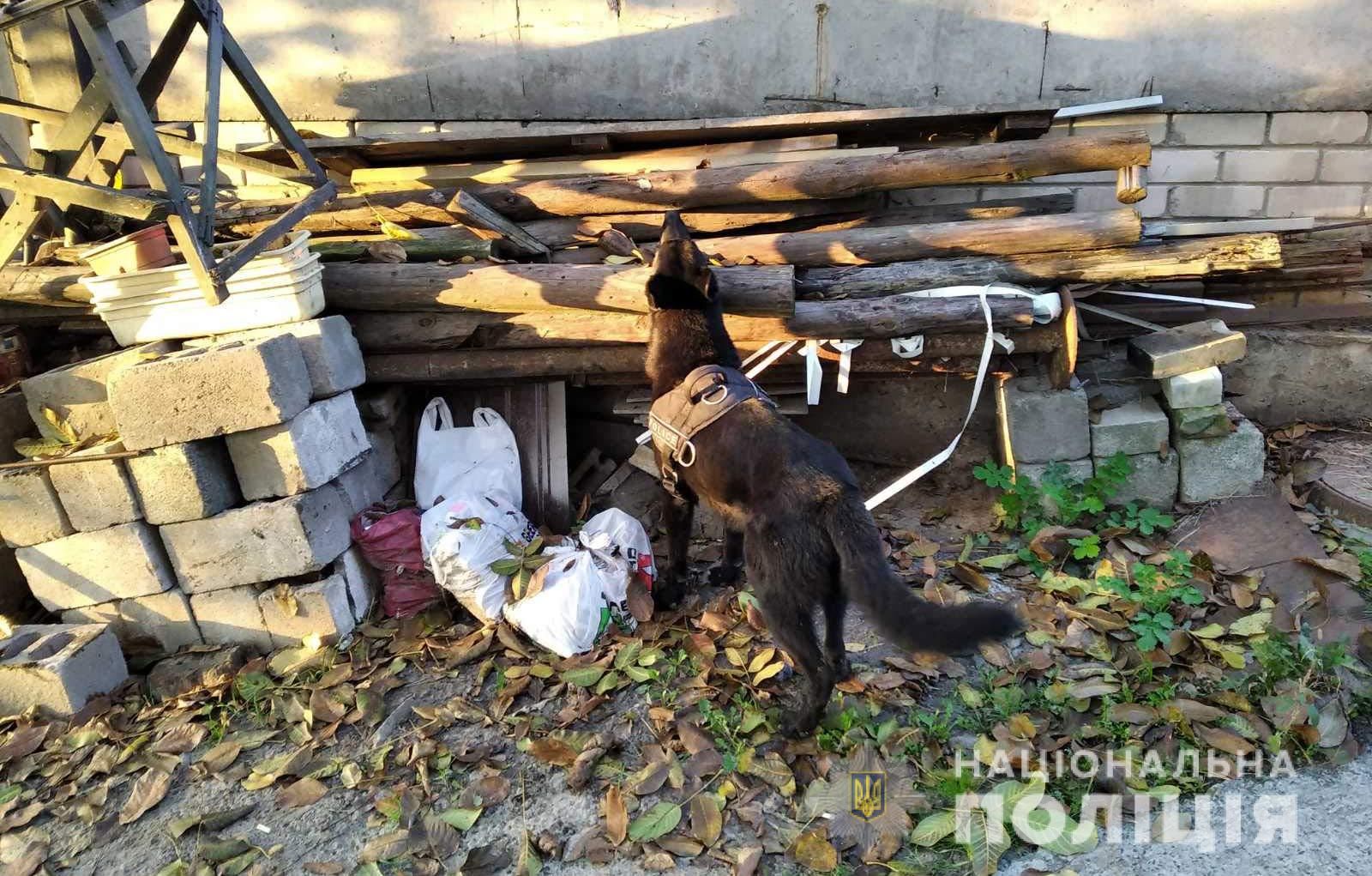 Оружие, наркотики и тротил: чем «отличились» преступники в Днепре. Новости Днепра