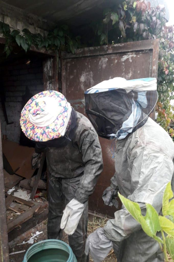 Спасатели против насекомых: у днепрян в гараже нашли гнездо шершней. Новости Днепра