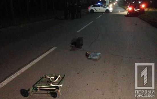 «Она выбежала на дорогу»: авто на смерть сбило 76-летнюю женщину. Новости Днепра