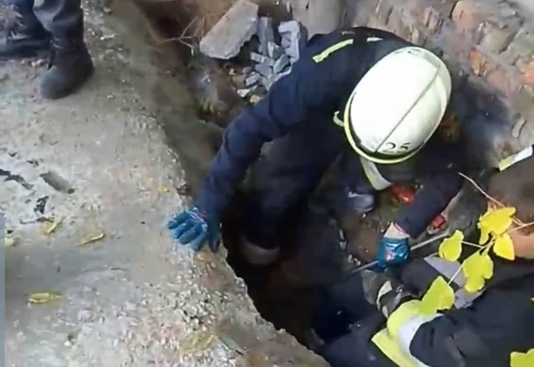 «Оказалась в ловушке»: в Днепре собаку спасали пять человек. Новости Днепра