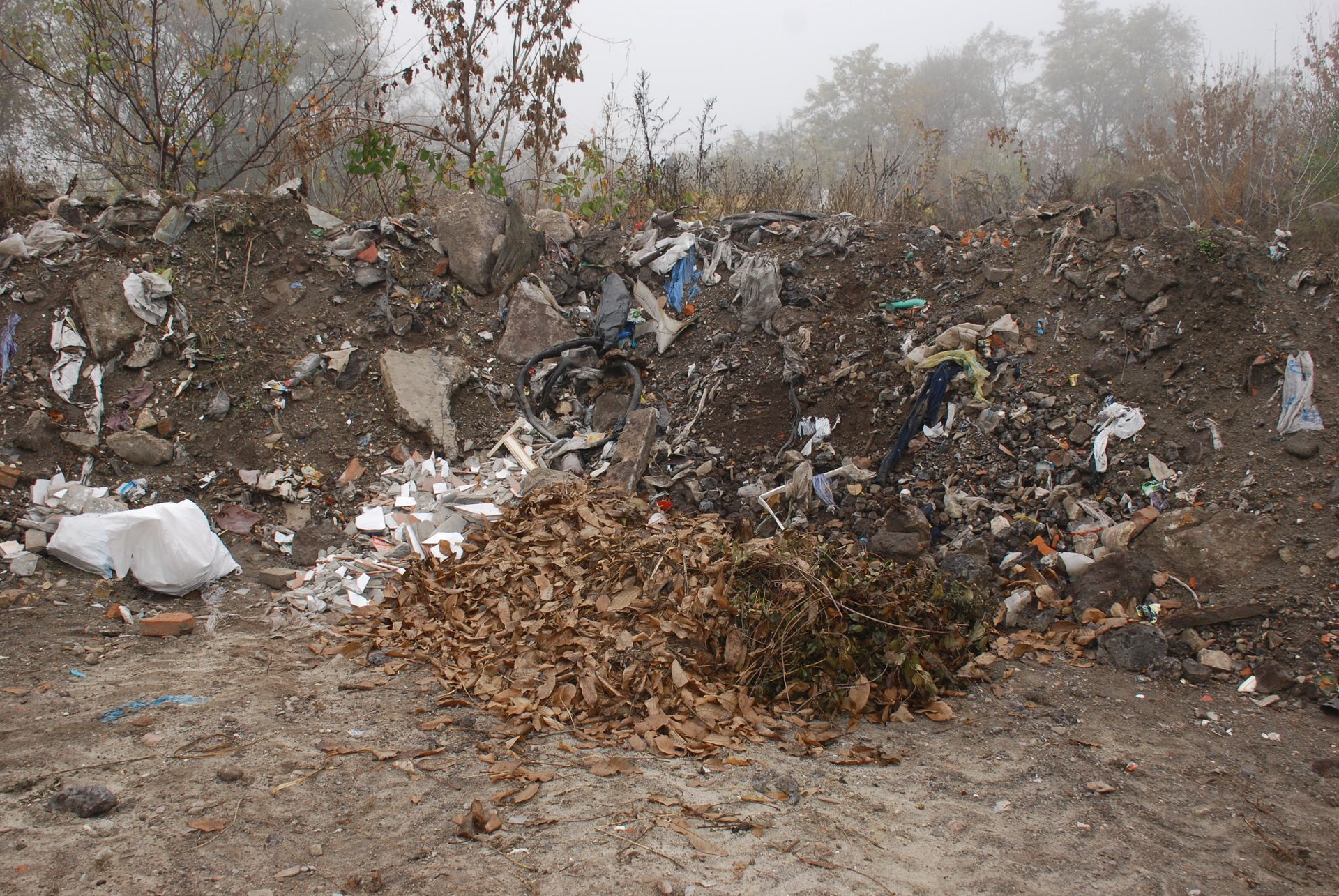 Мусорная проблема Днепра: как ее решают. Новости Днепра