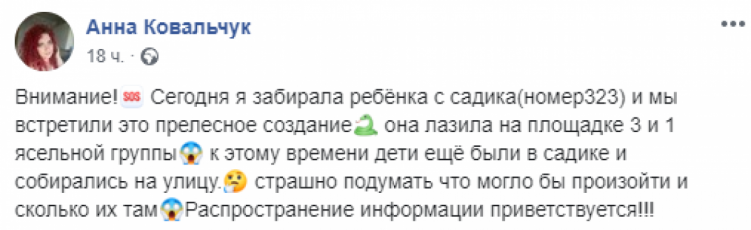 Змея в Днепре заползла в детсад. Новости Днепра