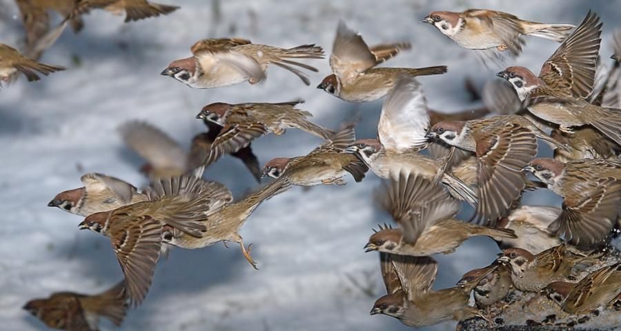 Поздравьте своего начальника: что отмечают 16-го октября