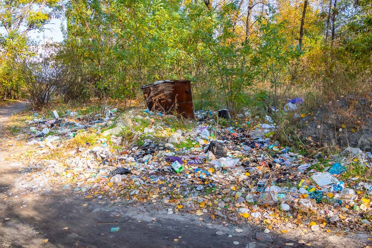 Популярное место отдыха в Днепре превратили в свалку. Новости Днепра