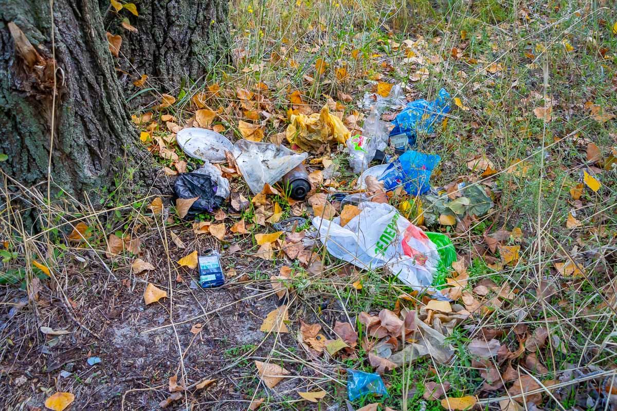 Популярное место отдыха в Днепре превратили в свалку. Новости Днепра