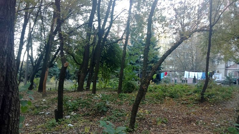 Днепр изменится к лучшему: в городе появятся 2 места для отдыха горожан. Новости Днепра