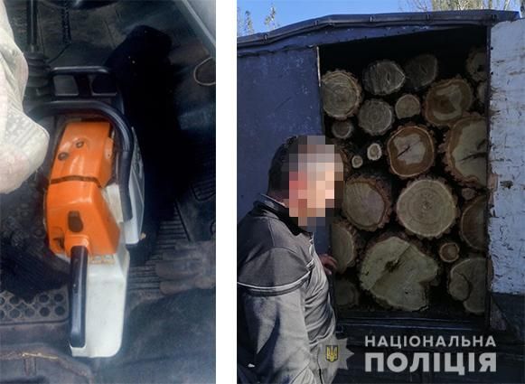 Черного лесоруба поймали на горячем. Новости Днепра