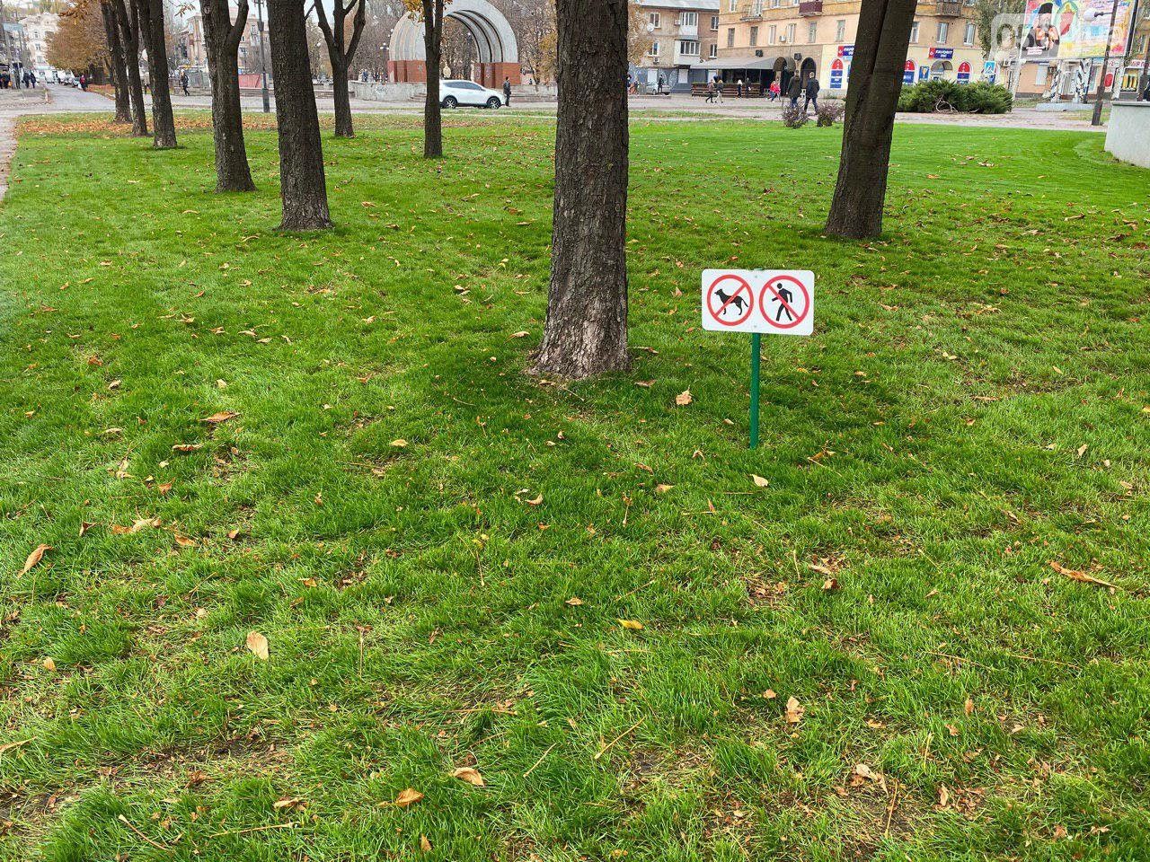 «Чтобы не стать звездой YouTube»: людям запретили справлять нужду возле горсовета. Новости Днепра