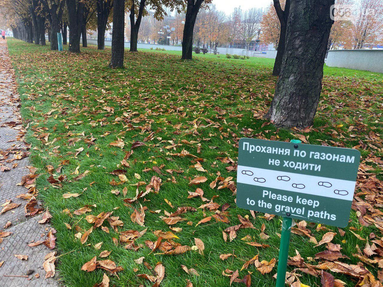 «Чтобы не стать звездой YouTube»: людям запретили справлять нужду возле горсовета. Новости Днепра