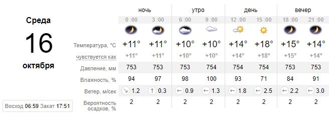 Синоптики рассказали, какой сегодня будет погода в Днепре. Новости Днепра