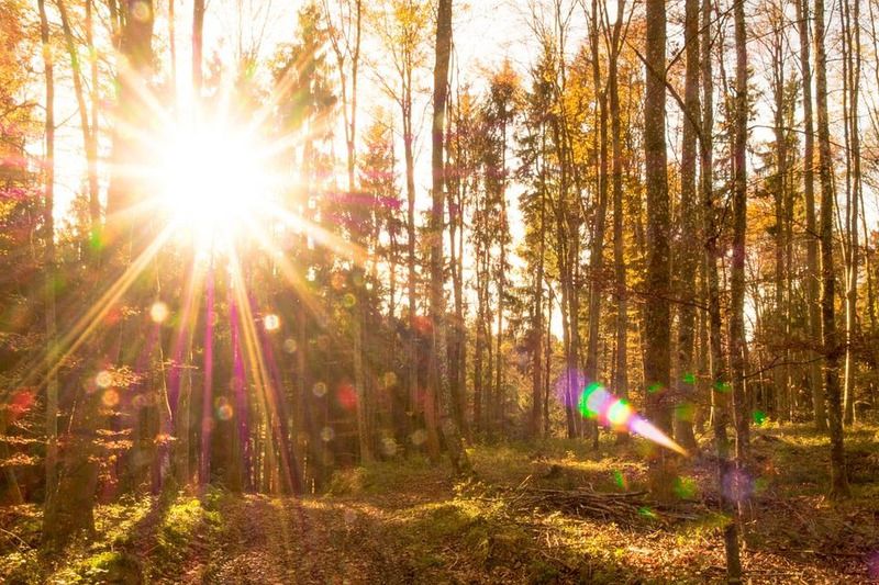 В Днепр вернется лето: синоптики обещают тепло и солнце. Новости Днепра