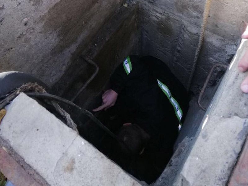 Оказался в ловушке: мужчина провалился в колодец. Новости Днепра