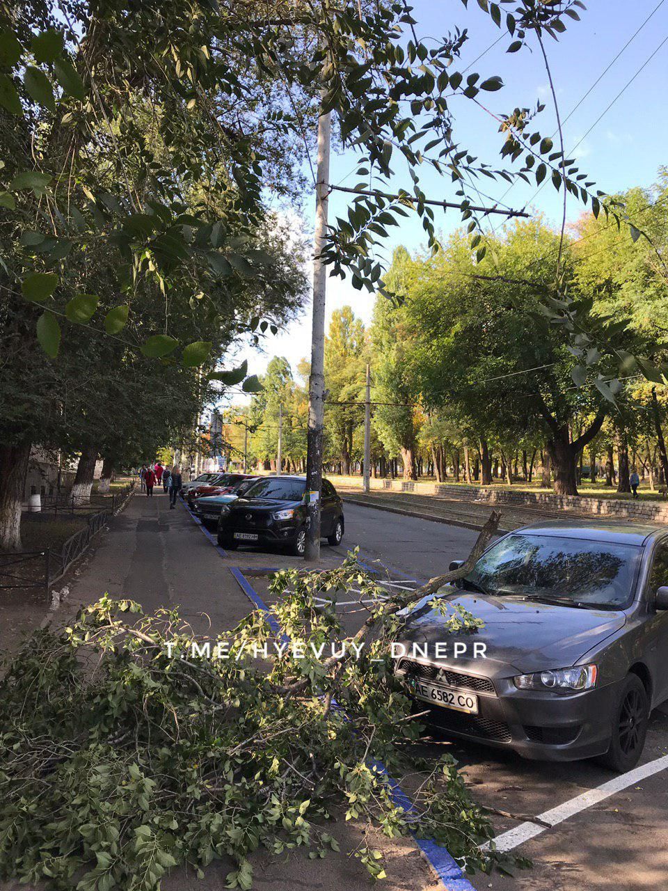 «Парковка не спасла»: ветка пробила лобовое стекло автомобиля. Новости Днепра